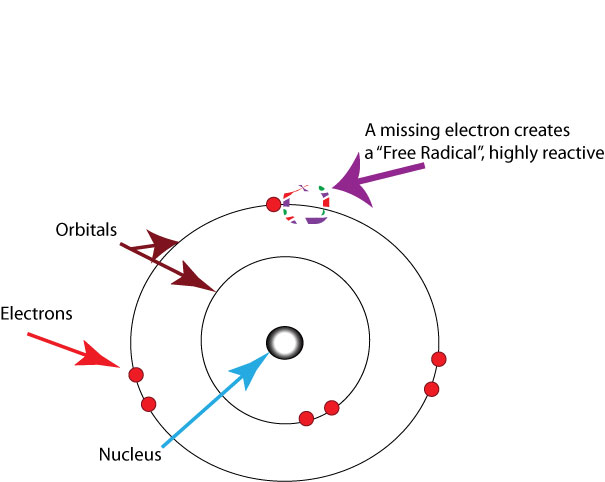 A free radical diagram showing the nucleus with surrounding electrons. The electrons are in pairs on the orbital, and one election is missing a paired partner.