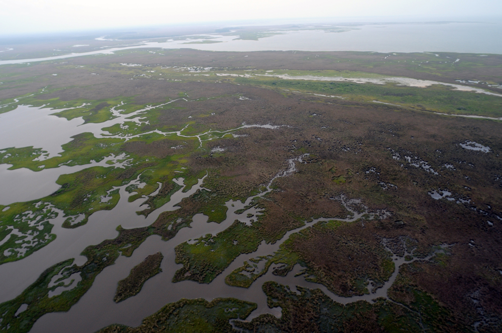Uma vista aérea de bancos de areia entupidos de óleo e da água oceânica circundante contaminada por óleo é mostrada aqui.