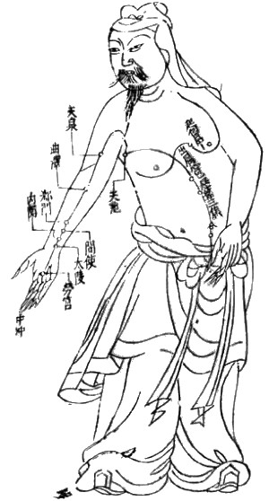 An illustration of an acupuncture chart