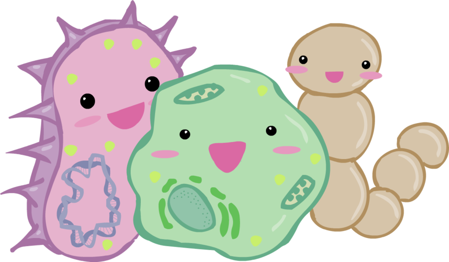  a trio of colorful and cute looking bacteria