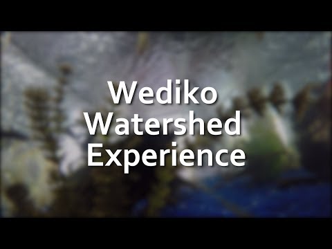 Thumbnail for the embedded element "The Wediko Experience"