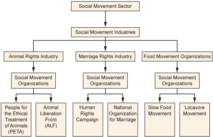 Pictured is a flow chart showing the tiers of the Social Movement Sector. At the top of the chart is the social movement sector. Below that box is the social movement industries. Three boxes come from that one; and, they are the animal right industry, the marriage rights industry, and the food movement industry. One box comes from the animal rights industry box; and, it is social movement organization. Two boxes come from the social movement organization box; and, they are People for the Ethical Treatment of Animals (PETA) and Animal Liberation Front (ALF). One box comes from the marriage rights industry; and, it is social movement organizations. Two more boxes come from the social movement organizations box; and, they are the Human Rights Campaign, and the National Organization for Marriage. One box come from the food movement industry box; and, it is social movement organizations. Two more boxes come from the social movement organizations box; and, they are the Slow Food Movement, and the Locavore Movement.