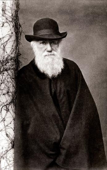 Image of Charles Darwin, circa 1881.