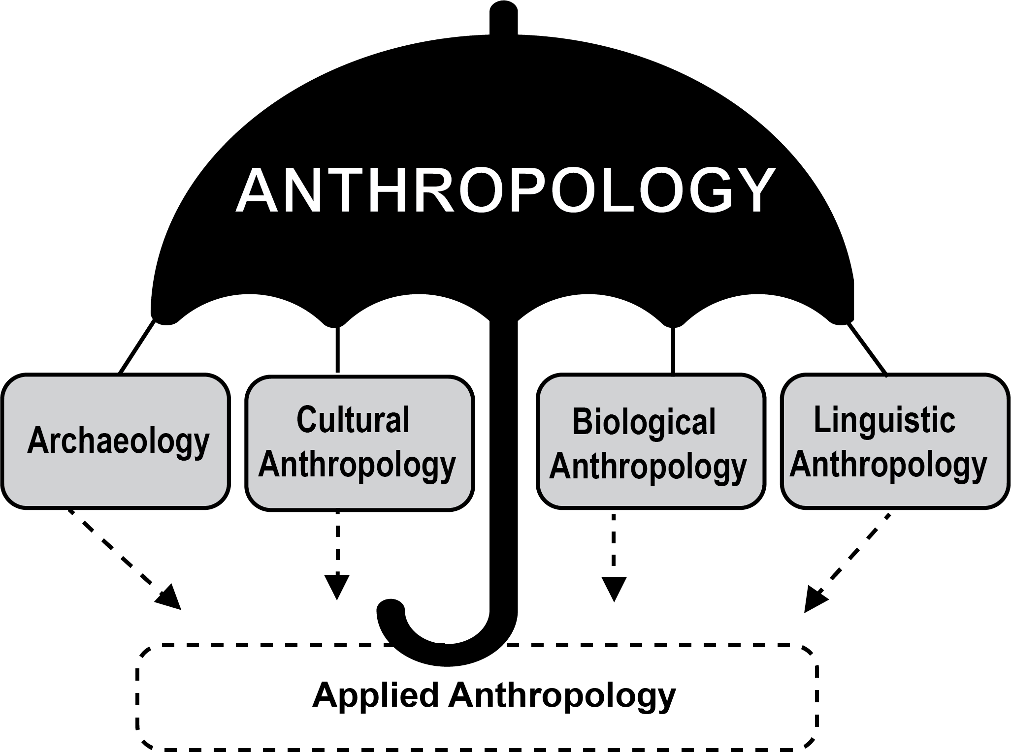Image of the discipline of anthropology and its four subdisciplines as well as an applied dimension.