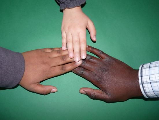 Image of hands showing the variation in skin tones.