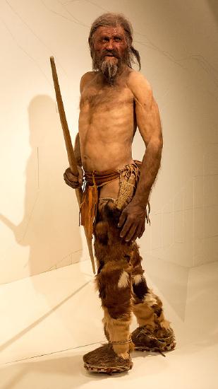 An image of a model of what Ötzi may have looked like in life.