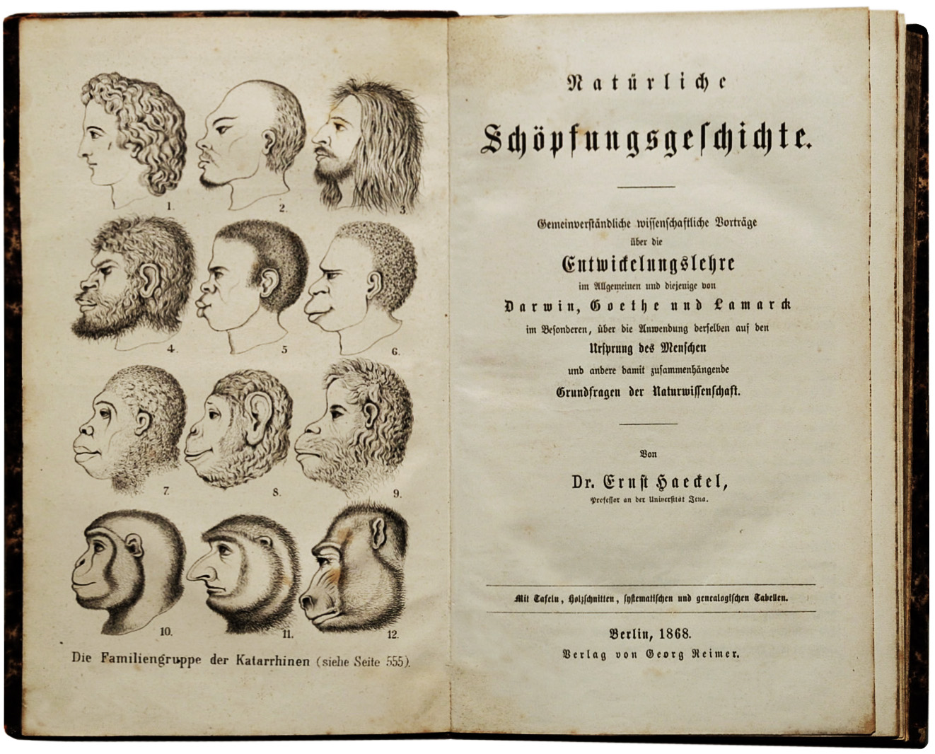 The frontispiece to Ernst Haeckel’s (1868) popular German book on Darwinism.
