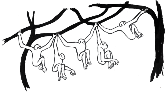 Illustration of typical brachiators in a tree.