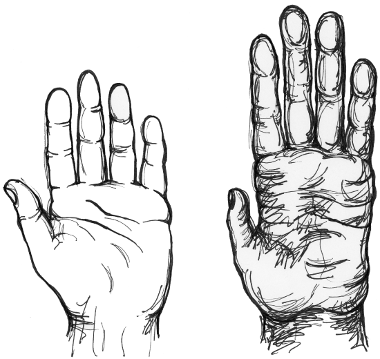Chimpanzee hand (right) compared to a human hand (left)
