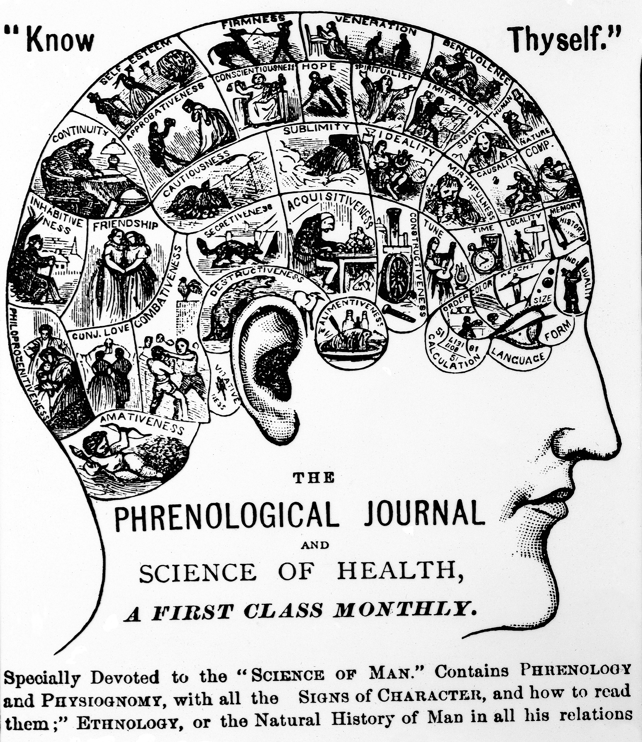 According to the early 19th century science of phrenology, units of personality could be reliably mapped onto units of the head