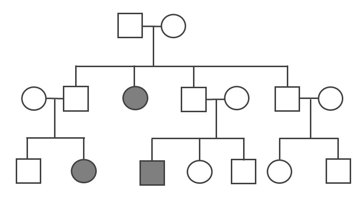 3.4: Mendelian Genetics And Other Patterns Of Inheritance - Social Sci ...