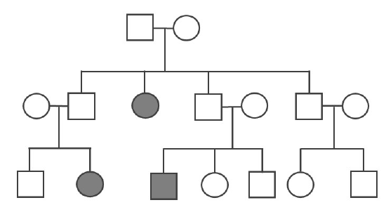 A three-generation pedigree depicting an example of X-linked Mendelian inheritance like Duchenne Muscular Dystrophy (DMD).
