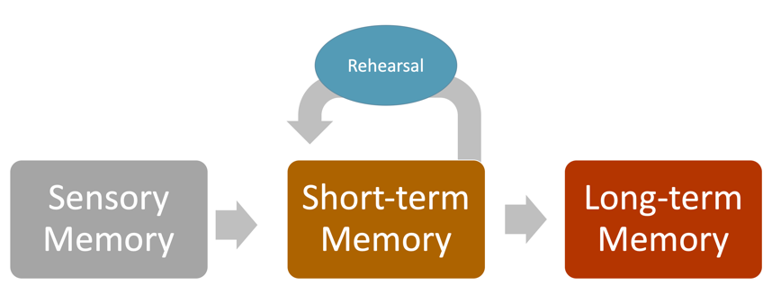 Depiction of Information Processing. From left to right: Sensory Memory, Short-term Memory (Rehearsal), and Long-term Memory