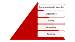 Caracterización por Conjunto de Valor Organización Valorización Respondiendo Recepción