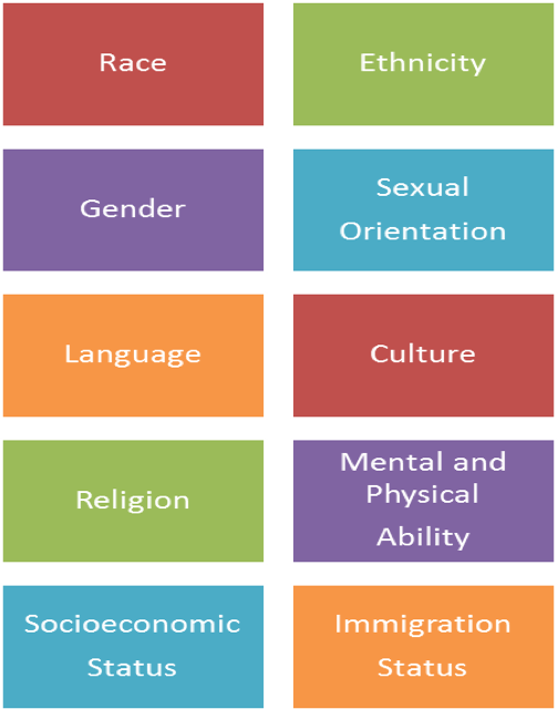 Race, Ethnicity, Gender, Sexual Orientation, Language, Culture, Religion, Mental and Physical Ability, Socioeconomic Status, Immigration Status