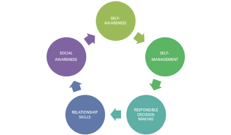 This graphic shows the circular relationship of self awareness, self management, responsible decision making, relationship skills, social awareness leading back into self awareness.