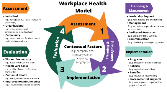 Gráfico del Modelo de Salud Laboral que describe cómo mejorar la salud de los empleados en el trabajo