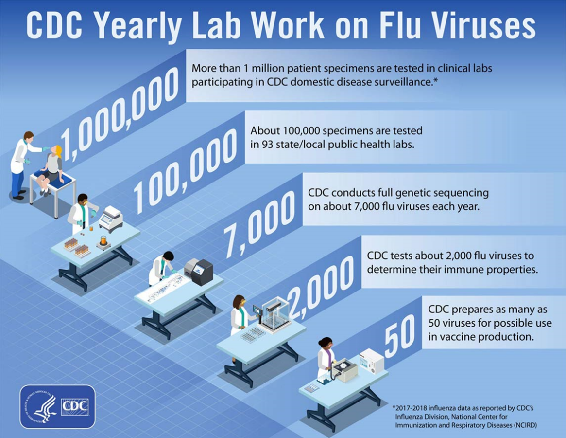 yearly work on flu vaccine by CDC