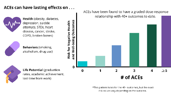 risks of adverse childhood experiences (ACE's) to health, behavior, and life potential. The more ACE's present the higher the risk.