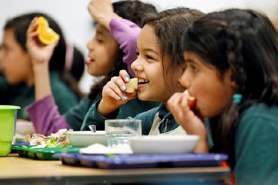 Niñas comiendo almuerzos escolares saludables