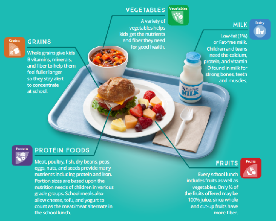 almuerzo escolar proporciona leche, proteínas, granos, frutas y verduras