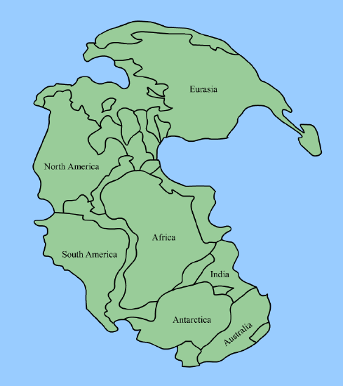 Map of Pangea reflecting the way our current continents fit into the landmass.