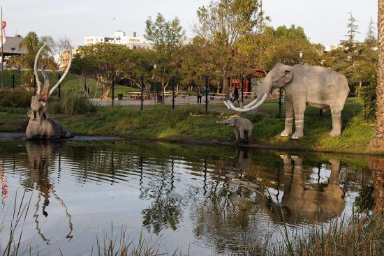 This is a recreation of how animals tragically came to be trapped in the asphalt lake at the La Brea Tar Pits.