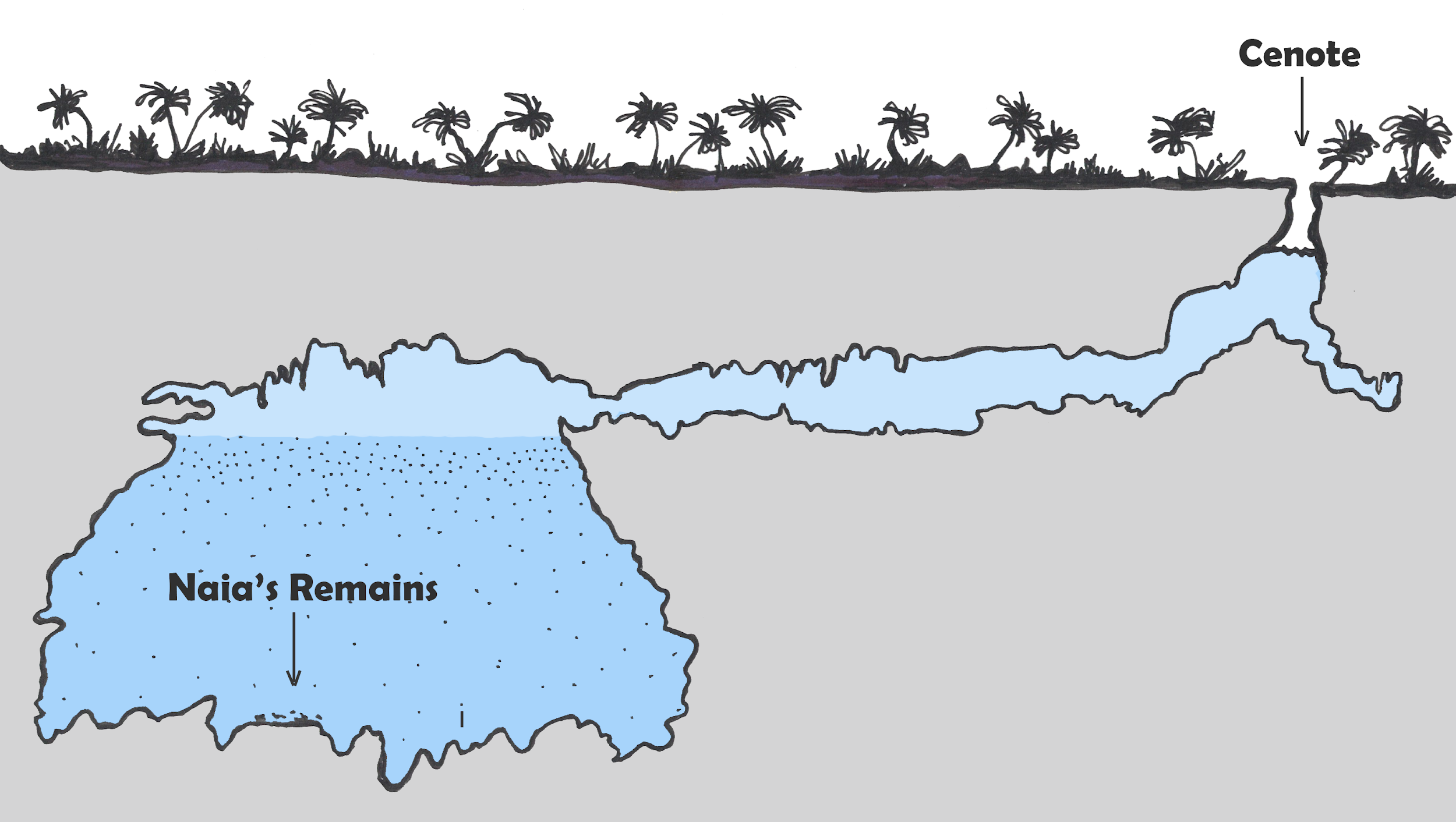  A diagram of the Sistema Sac Actun and the Hoyo Negro cenote where Naia rested underwater for roughly 13,000 years.