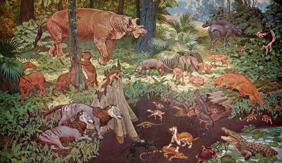 Depiction of Eocene flora and fauna in North America.