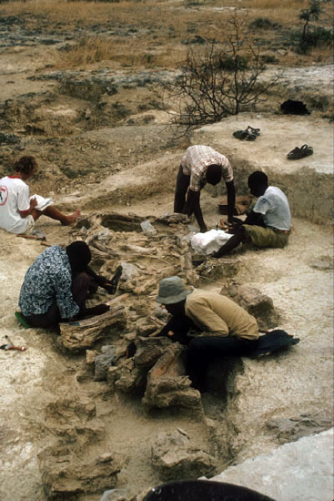Excavations at the site of Olorgesailie, Kenya.