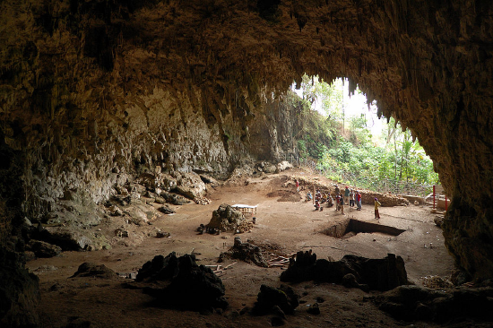 Liang Bua Cave on the island of Flores, in Indonesia, where a collection of Homo floresiensis specimens were discovered.