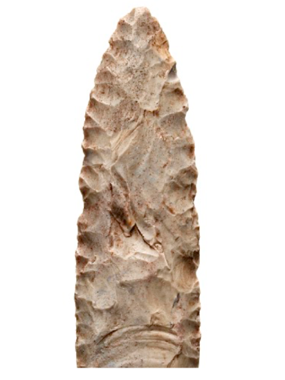 The Clovis point has a wider tip and the base has two small projections instead of a single large stem.