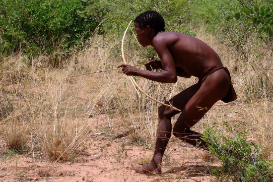A present-day San man in Namibia demonstrates hunting using archery. 