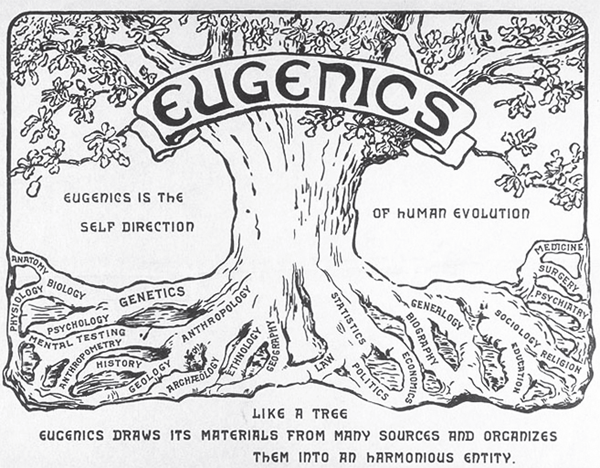 eugenics-tree.gif
