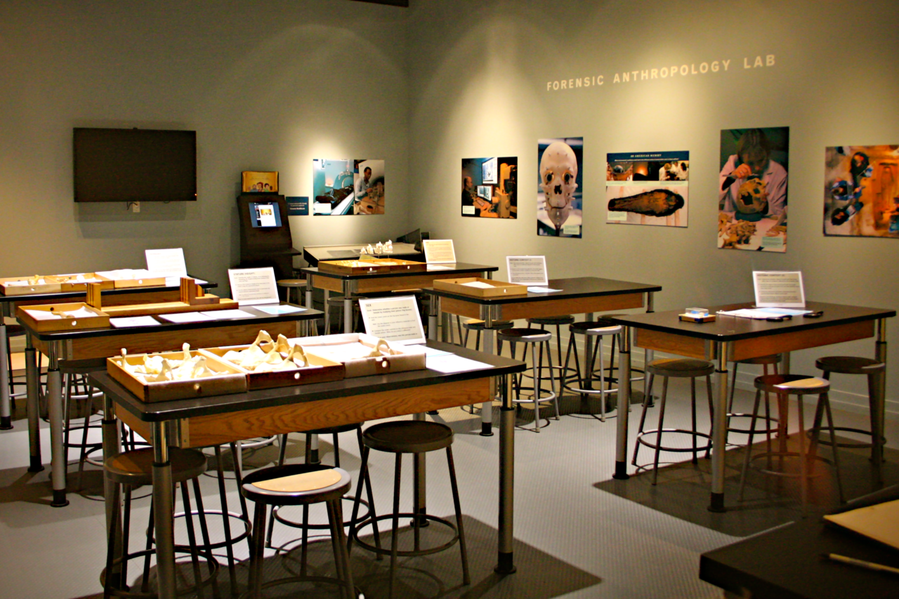 he Forensic Anthropology Lab at the National Museum of Natural History, Smithsonian Institute, Washington, D.C.