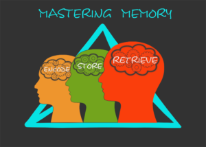 Memoria de masterización: Codificar, almacenar, recuperar
