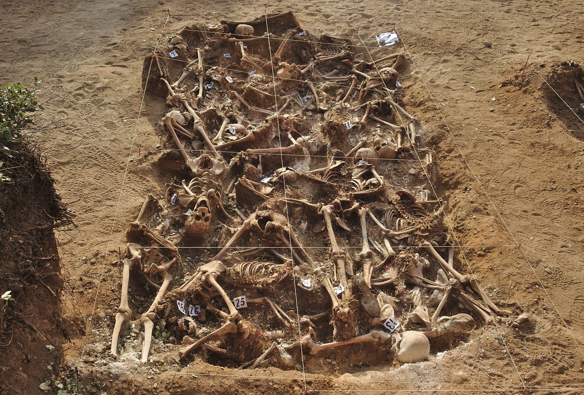 Spanish Civil War Mass Grave showing commingled human remains.