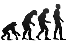 8: Primate Evolution