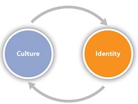 7: Organizational Identity and Diversity