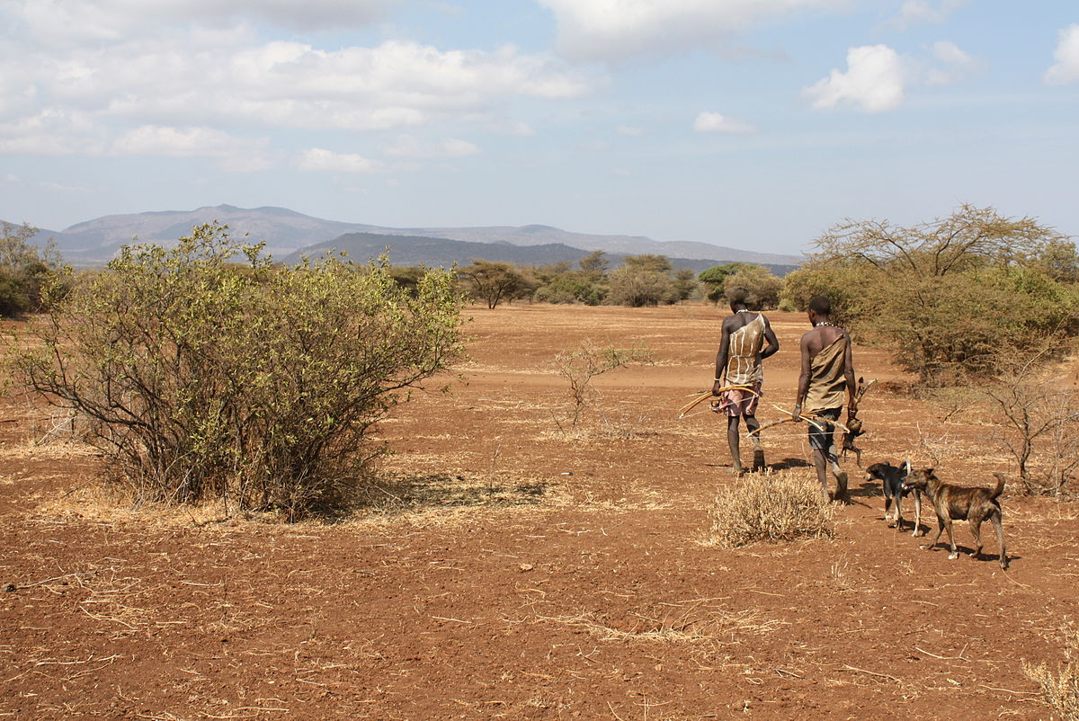 Hadza foragers hunting on foot.