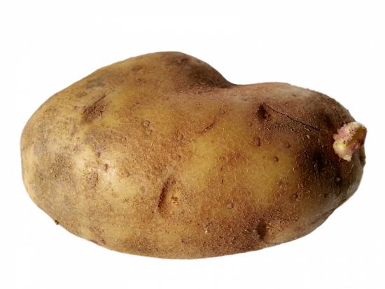 An image of a potato.