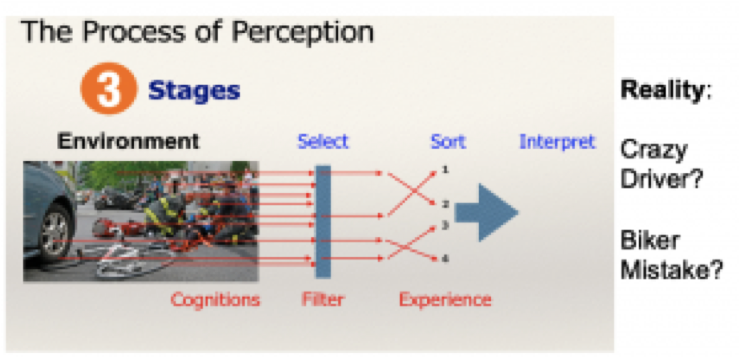 PerceptionProcess.png