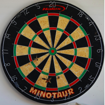 This image depicts a dartboard.