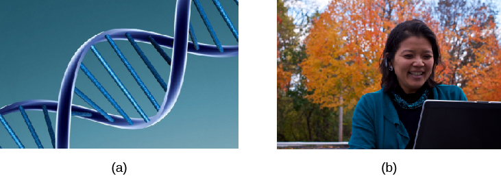 La imagen (a) muestra la estructura helicoidal del ADN. La imagen (b) muestra el rostro de una persona.