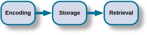 图中显示了三个方框，从左到右排成一行，分别标题为 “编码”、“存储” 和 “检索”。 一个向右的箭头将 “编码” 连接到 “存储”，另一个箭头将 “存储” 连接到 “检索”。