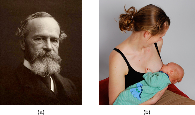 照片 A 显示的是威廉·詹姆斯。 照片 B 显示一个人正在母乳喂养婴儿。