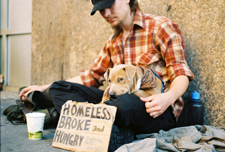 Uma fotografia mostra um morador de rua e um cachorro sentados na calçada com uma placa que diz: “Sem teto, sem dinheiro e com fome”.