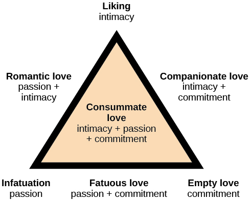 Le diagramme montre un triangle. L'intérieur du triangle porte l'étiquette « Amour consommé ; intimité + passion + engagement ». Le sommet du triangle est étiqueté « Aimer ; intimité ». Le côté gauche du triangle est étiqueté « Amour romantique ; passion et intimité ». Le côté droit du triangle est étiqueté « Amour de compagnie ; intimité et engagement ». Dans le coin inférieur gauche du triangle, on peut lire : « Envouement ; passion ». La partie inférieure du triangle est étiquetée « Amour stupide ; passion et engagement ». Le coin inférieur droit du triangle est étiqueté : « Amour vide ; engagement ».