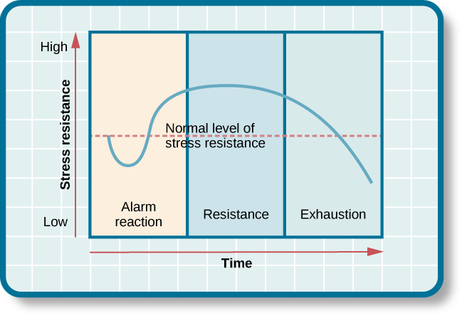 Una gráfica muestra las tres etapas del síndrome de adaptación general de Selye: reacción de alarma, resistencia y agotamiento. El eje x representa el tiempo mientras que el eje y representa los niveles de tensión. El eje x está etiquetado como “Tiempo” y el eje y está etiquetado como “Resistencia al estrés”. La gráfica muestra que un aumento en el tiempo y el estrés en última instancia conduce al agotamiento.