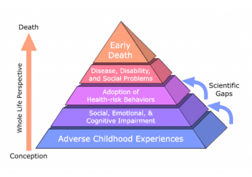 Una imagen de la pirámide de ases. Desde el fondo de la pirámide comienza con experiencias adversas en la infancia, luego con deterioro social, emocional y cognitivo. Lo siguiente es la adopción de conductas de riesgo para la salud, luego enfermedades, discapacidades y problemas sociales. El tope es la muerte prematura.